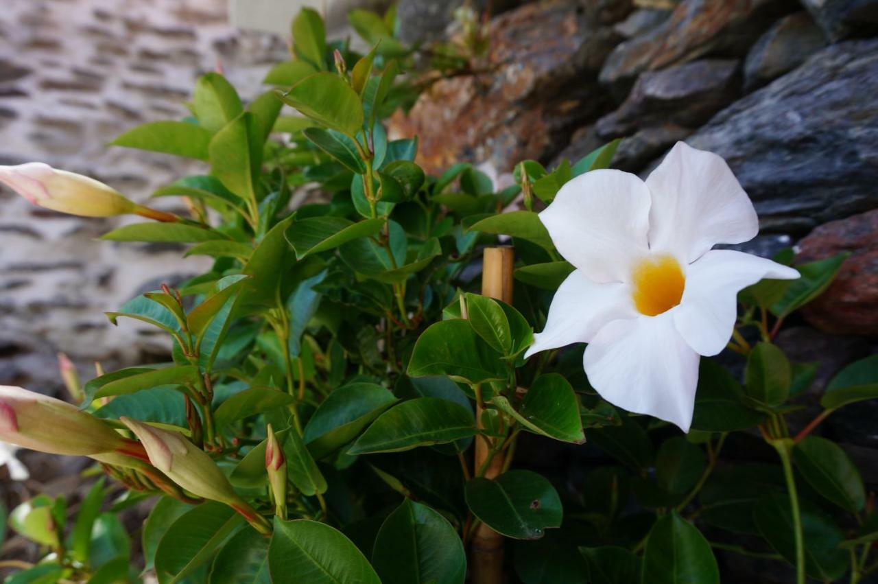 Casa Da Colina Villa อามารังติ ภายนอก รูปภาพ